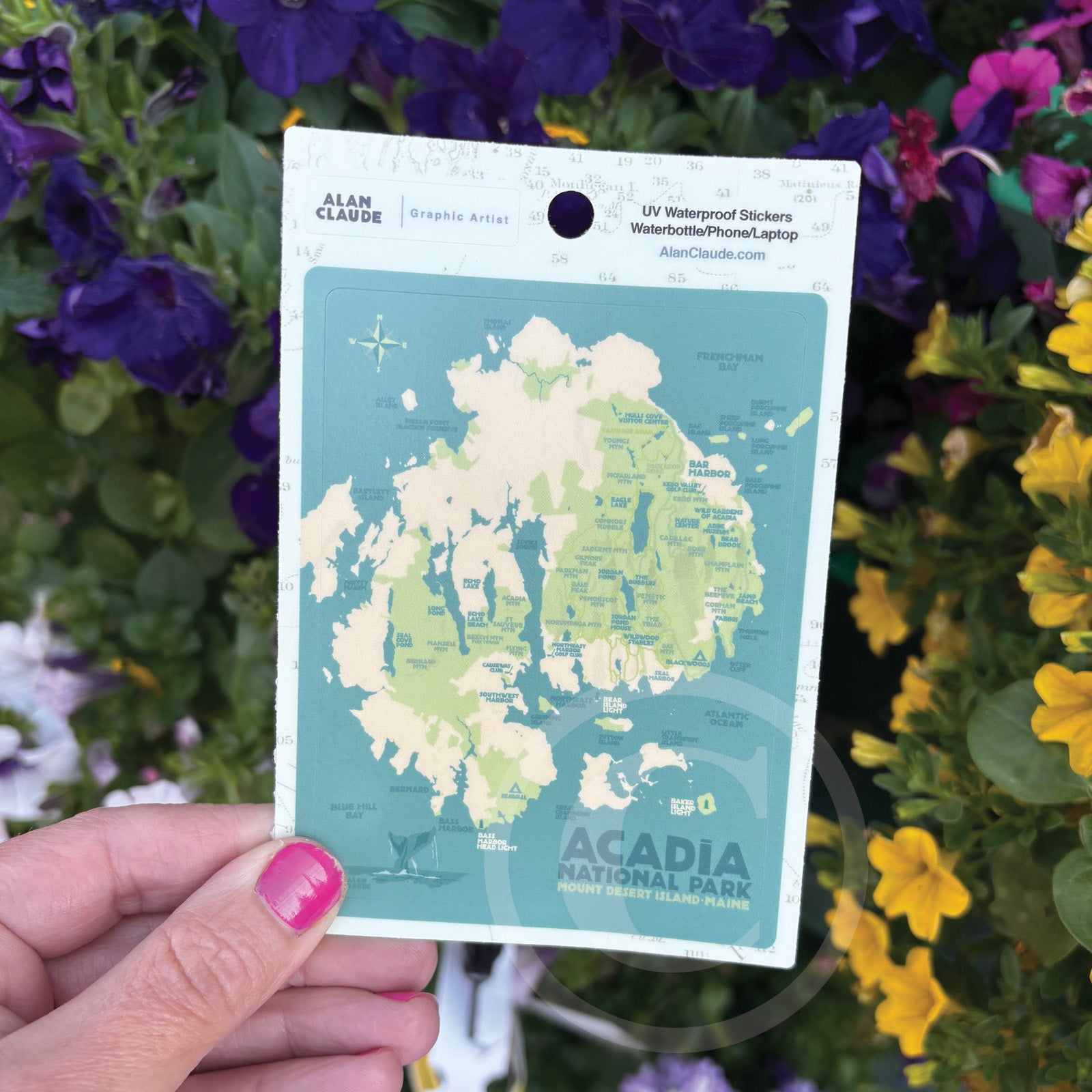 Acadia National Park Map Sticker