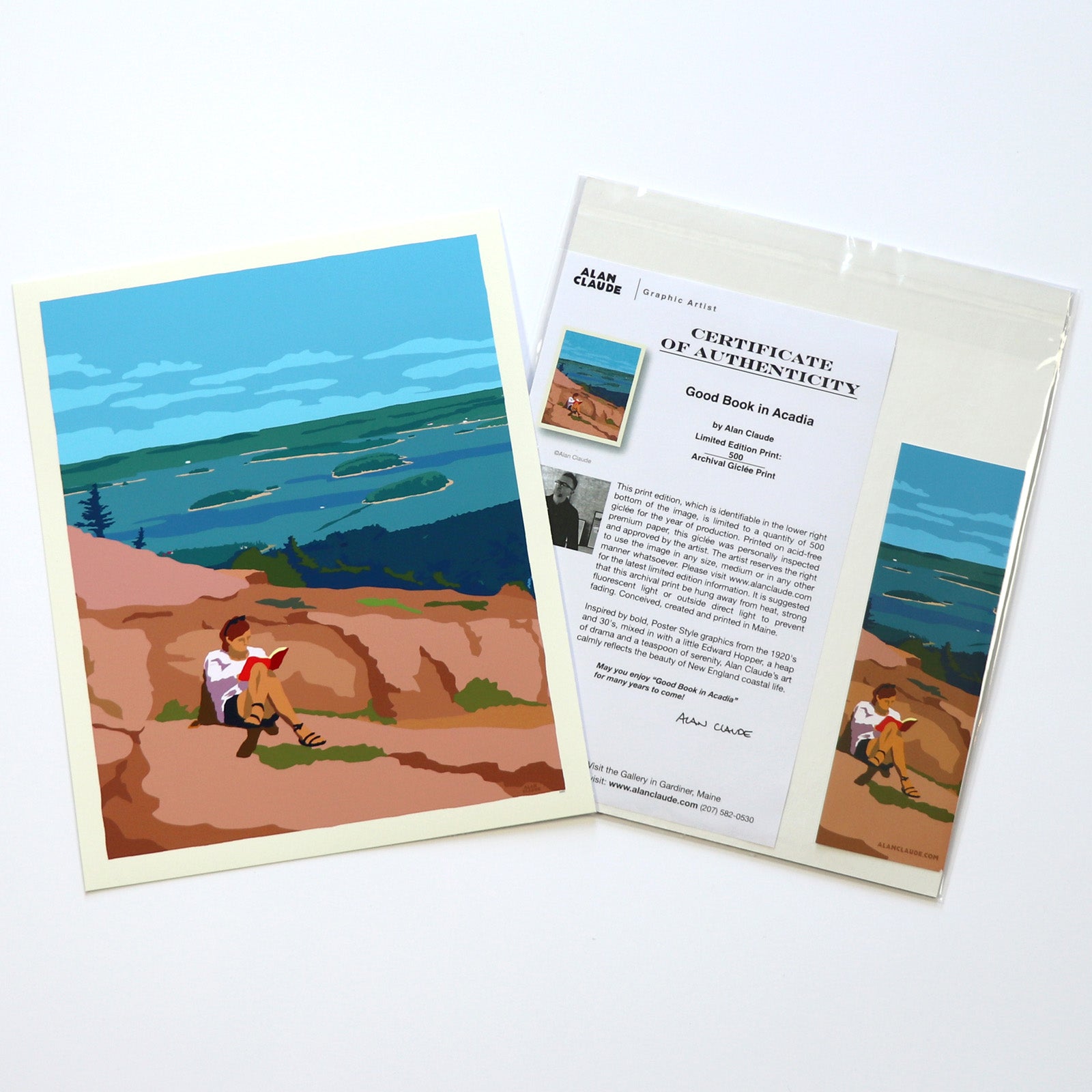 Good Book in Acadia National Park No Text Art Print 8" x 10" Wall Poster By Alan Claude - Maine