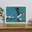 Puffin Takes Flight Art Print 8" x 10” Horizontal Wall Poster By Alan Claude - Maine