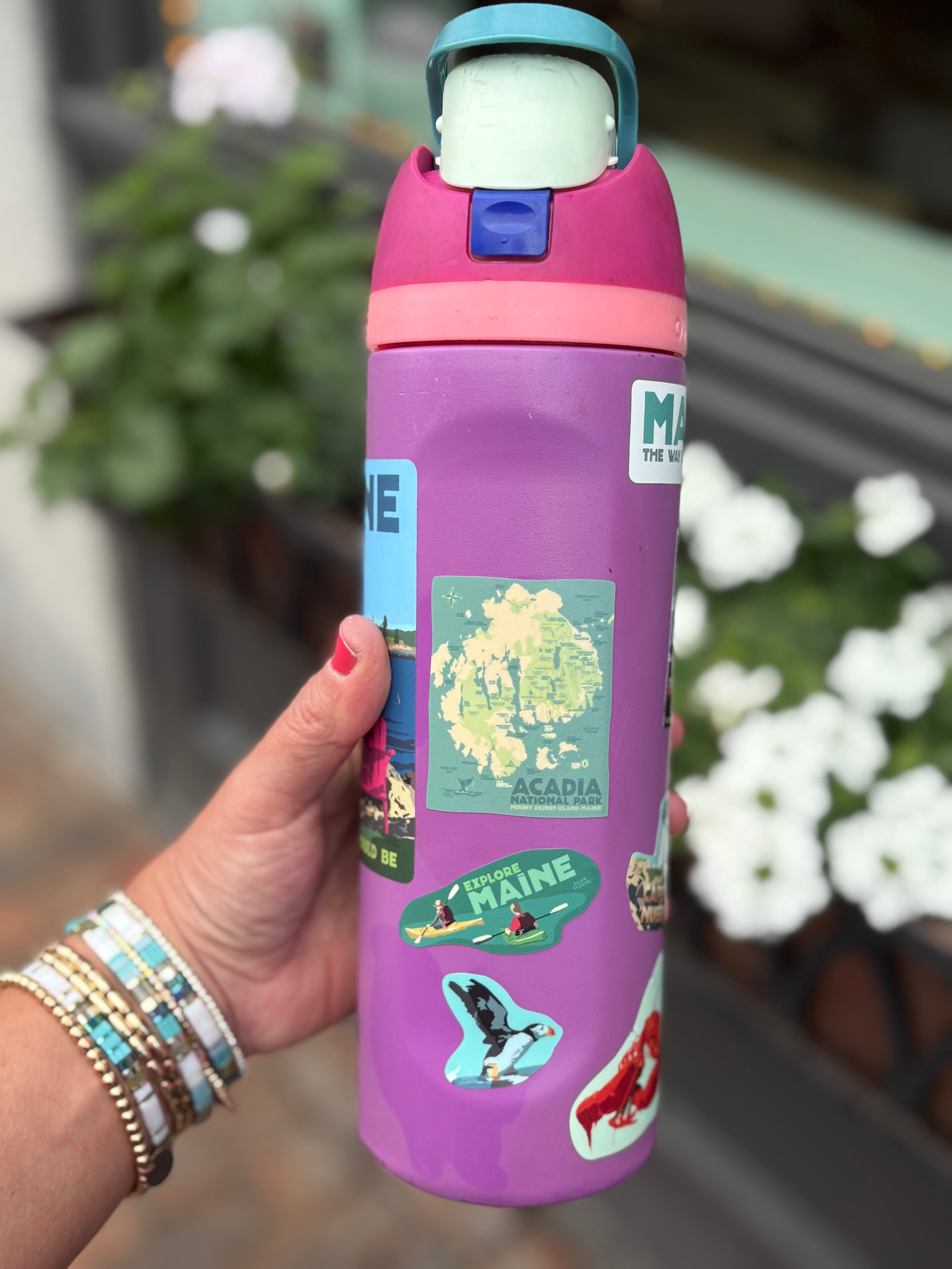 Acadia National Park Stickers Large/MULTI