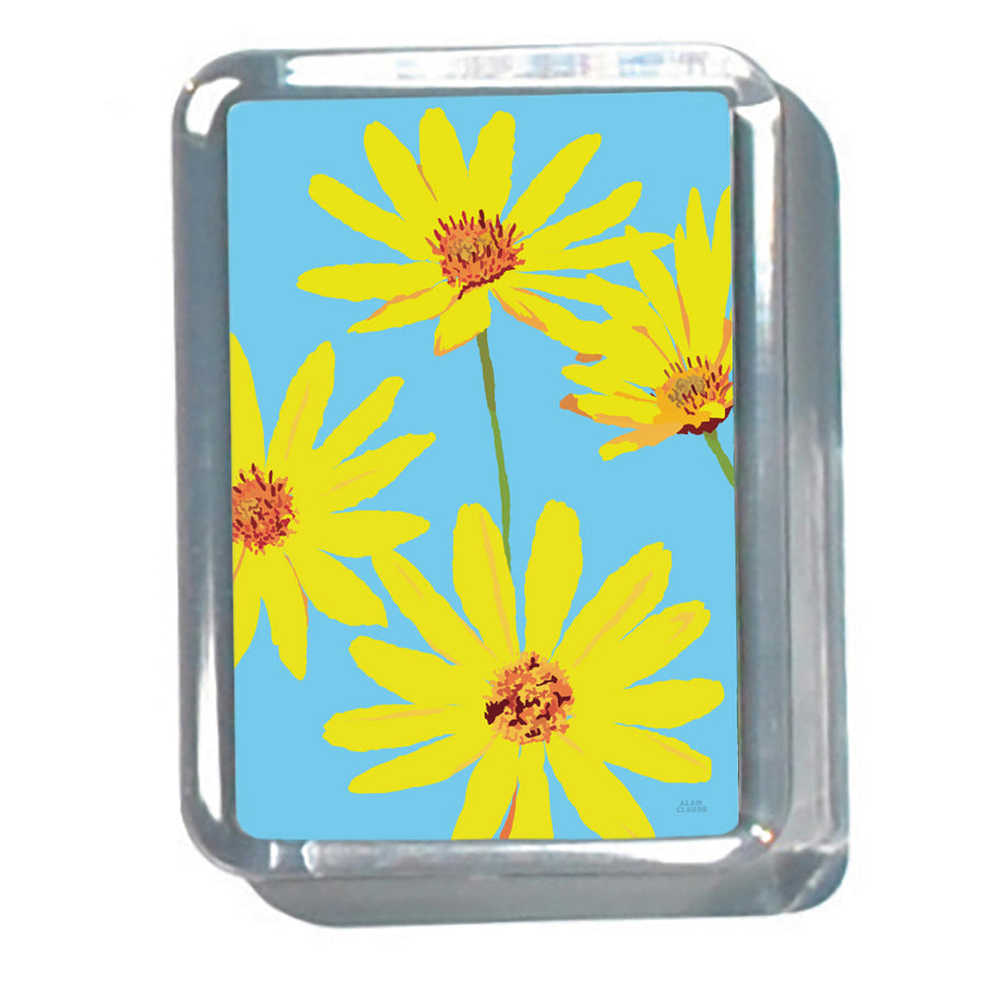 Joy Daisies 2" x 2 3/4" Acrylic Magnet