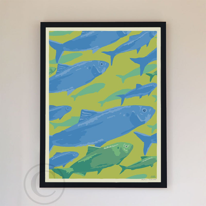 Alewives On The Move Art Print 18" x 24" Framed Wall Poster