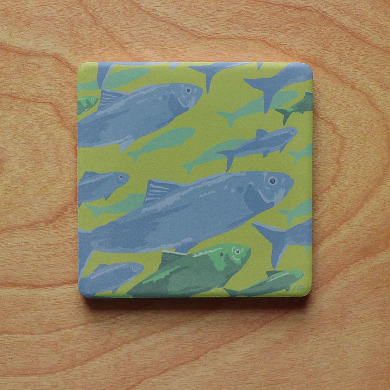 Alewives On The Move Art Drink Coaster