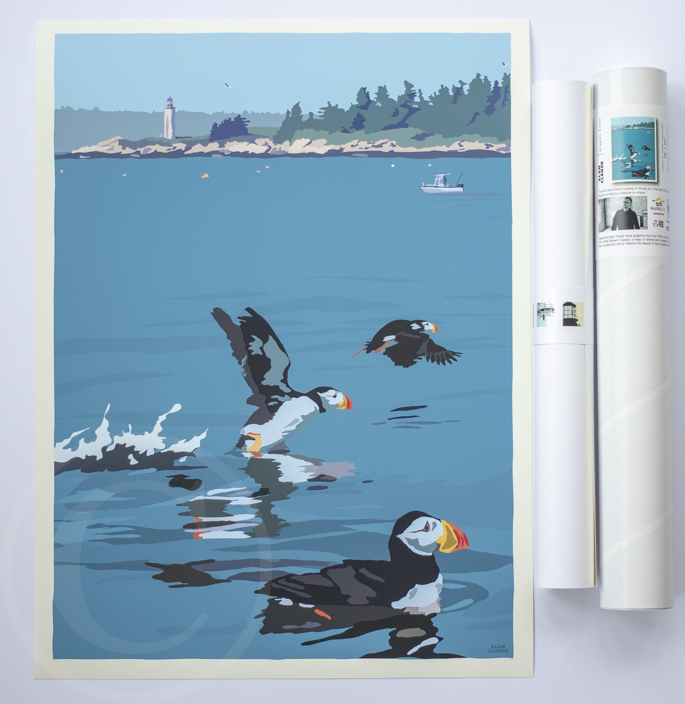 Puffins At Franklin Island Art Print 18" x 24" Wall Poster
